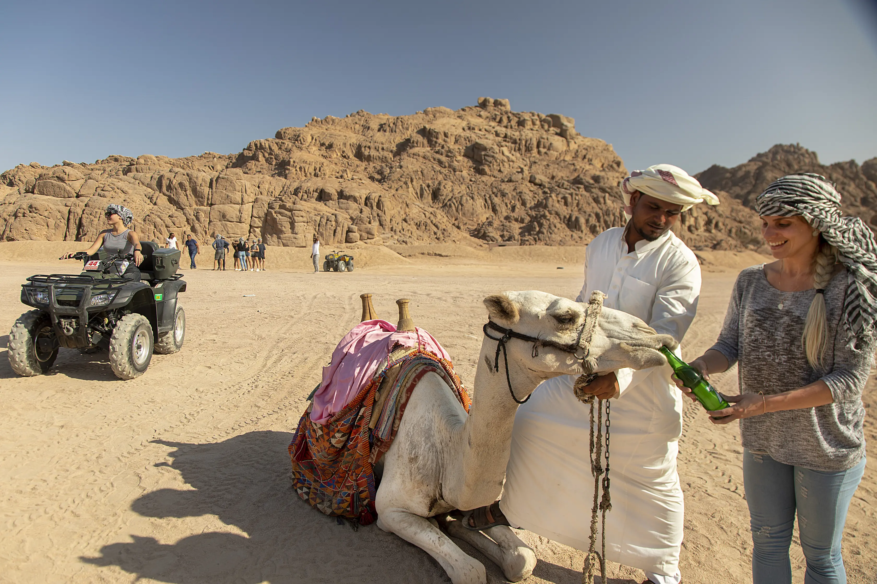 Desert Experience Family Buggy 800cc