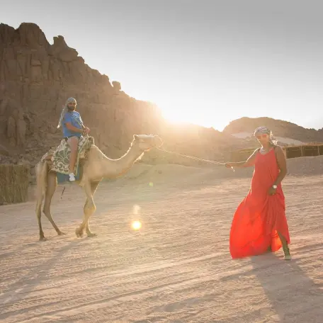 Desert Experience Double Buggy 800cc