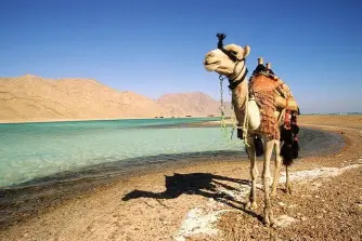 Abu Galum – Color Canyon Safari – Sharm El Sheikh