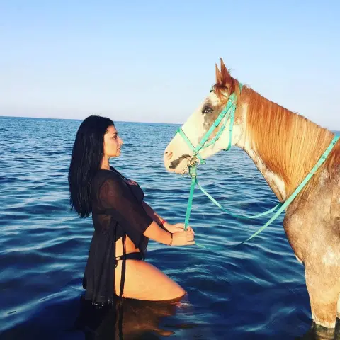 Horse Riding On Beach