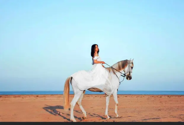 Horse Riding On Beach
