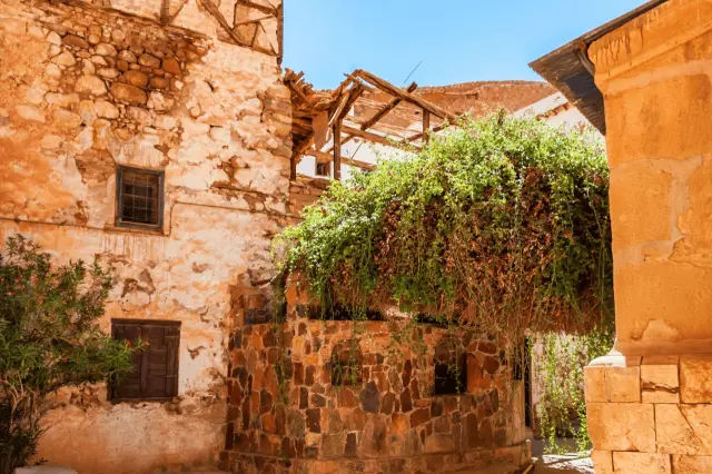 Saint Catherine's Monastery Tour From Sharm El Sheikh