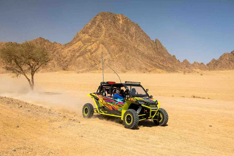 Phosphoric Buggy
