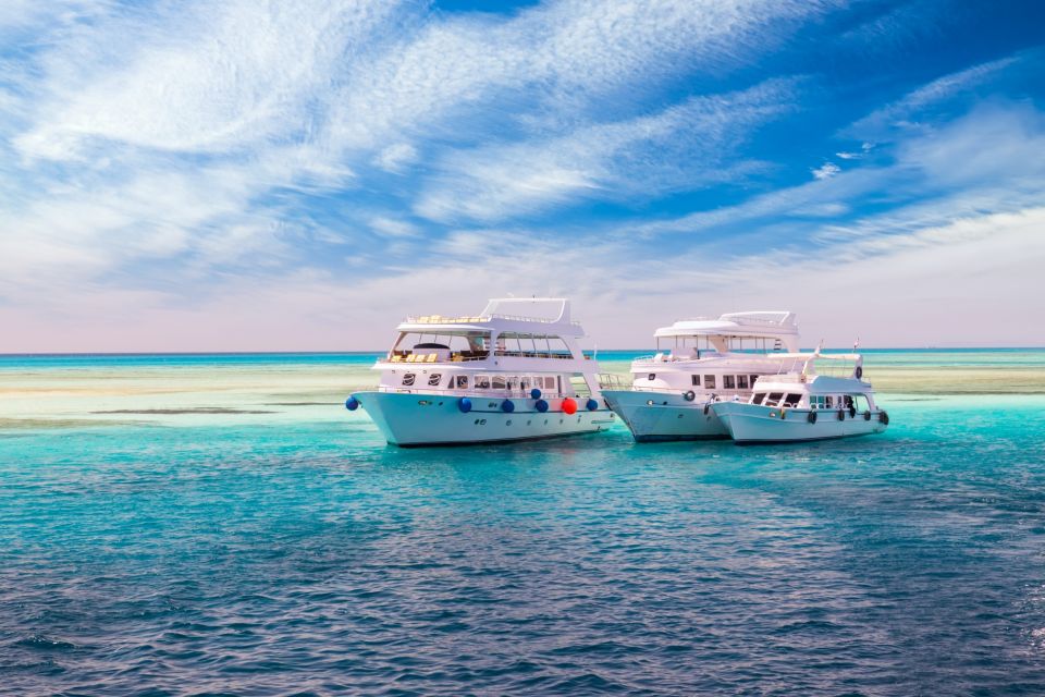 Red Sea & Boat Trips